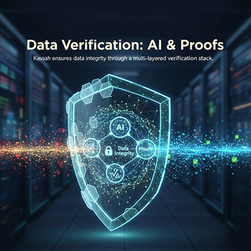 Data Verification Process
